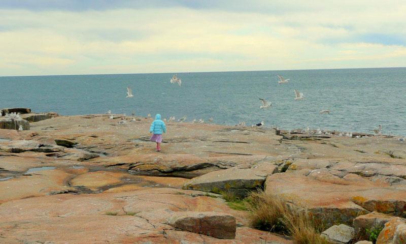Schoodic Peninusula in Acadia National Park