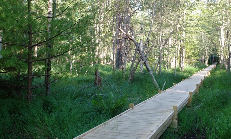 Seuir De Monts Walk Trail Hiking Acadia National Park Maine