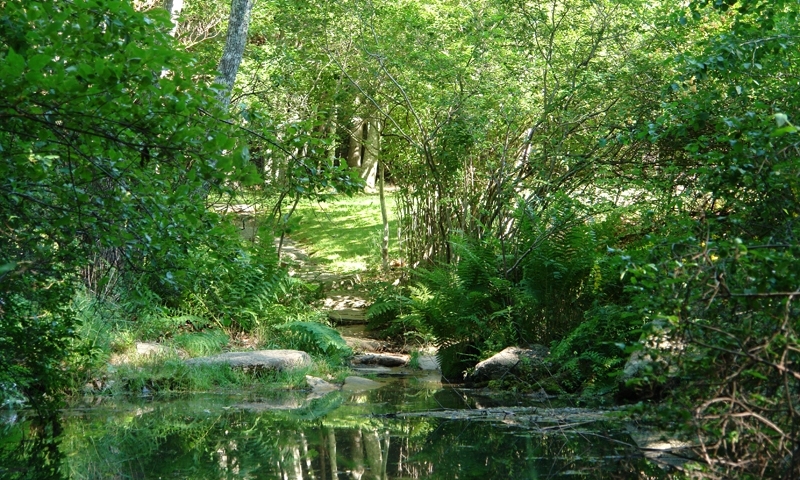 Sieur De Monts Spring