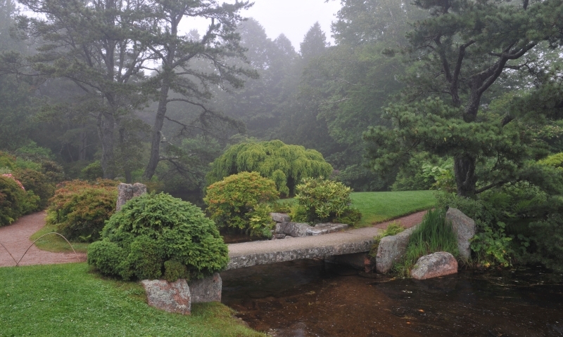 Asticou Azalea Gardens Mount Desert Island Bar Harbor Maine