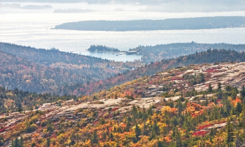 Acadia National Park Maine Cadillac Mountain Fall Foliage