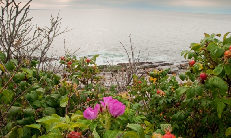 Pemaquid Lighthouse Maine Coast Penobscot Bay