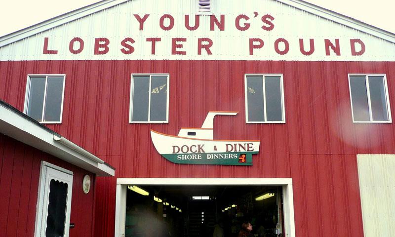 Lobster Pound in Belfast Maine