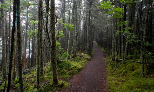 Downeast Maine Attractions