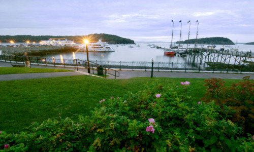 Downtown Bar Harbor