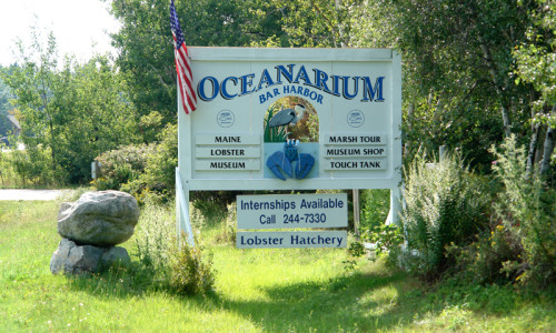 Mount Desert Oceanarium