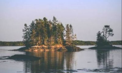 Cobscook Bay