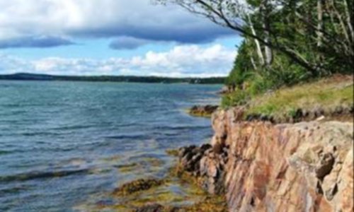 Rogue Bluffs State Park