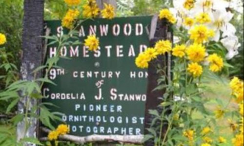 Stanwood Homestead Museum
