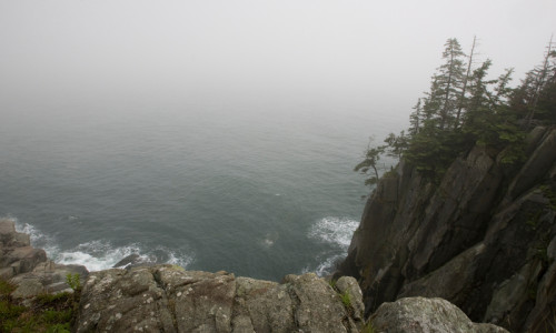 Quoddy Head State Park
