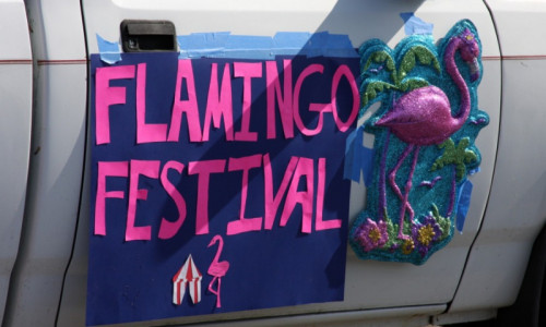 Harbor House Flamingo Festival