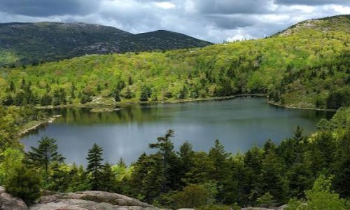 National Audubon Society Nature Camp