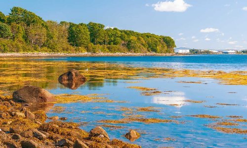 Moose Point State Park