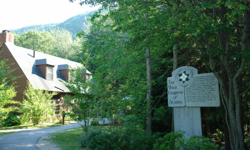Wild Gardens of Acadia