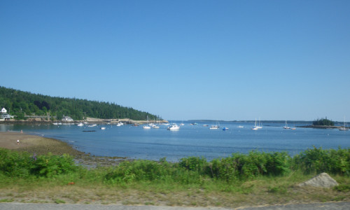 Seal Cove Maine