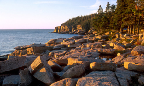 Otter Cliffs