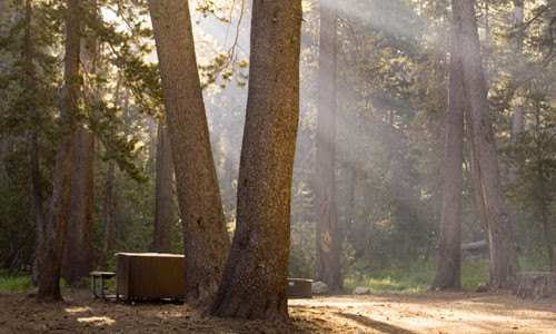 Park Campgrounds