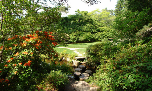 Desert of Maine