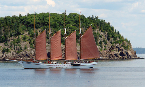 Guided Tours