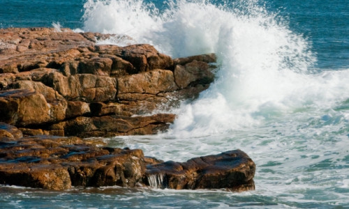 Schoodic Peninsula