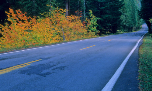 Bus / Van Tours & Charters