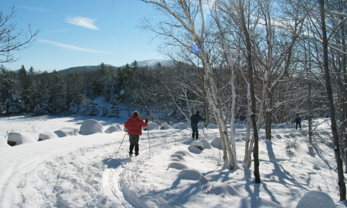 Cross Country Skiing